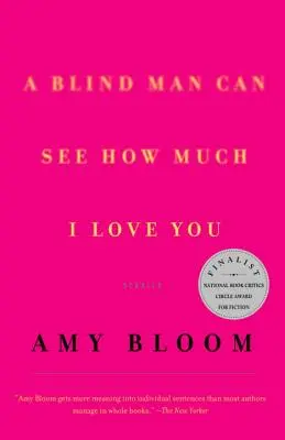 Ein blinder Mann kann sehen, wie sehr ich dich liebe: Geschichten - A Blind Man Can See How Much I Love You: Stories