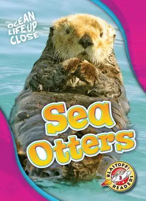 Seeotter - Sea Otters