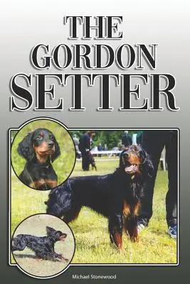 Der Gordon Setter: Ein komplettes und umfassendes Handbuch für Besitzer von: Kauf, Besitz, Gesundheit, Pflege, Training, Gehorsam, Verstehen und - The Gordon Setter: A Complete and Comprehensive Owners Guide to: Buying, Owning, Health, Grooming, Training, Obedience, Understanding and