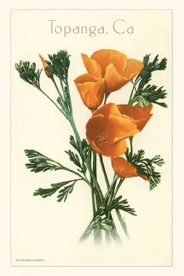 Das Jahrgangsjournal Mohnblumen, Topanga, Kalifornien - The Vintage Journal Poppies, Topanga, California