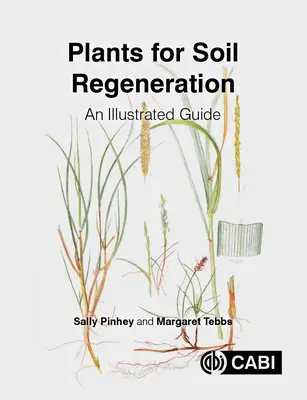 Pflanzen für die Regeneration des Bodens: Ein illustrierter Leitfaden - Plants for Soil Regeneration: An Illustrated Guide