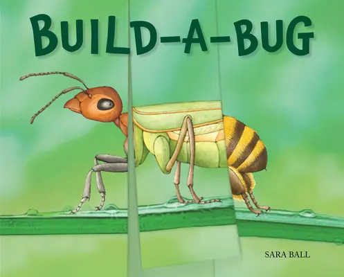 Baue-einen-Käfer - Build-A-Bug