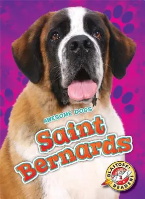 Bernhardiner - Saint Bernards