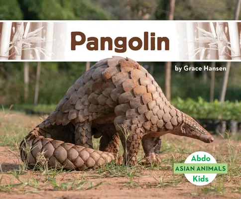 Schuppentier - Pangolin
