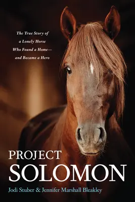 Projekt Solomon: Die wahre Geschichte eines einsamen Pferdes, das ein Zuhause fand - und zum Helden wurde - Project Solomon: The True Story of a Lonely Horse Who Found a Home--And Became a Hero