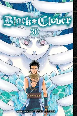 Schwarzer Klee, Bd. 30: Band 30 - Black Clover, Vol. 30: Volume 30
