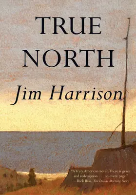 Der wahre Norden - True North