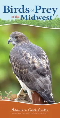 Raubvögel des Mittleren Westens: Ihr Weg zur einfachen Identifizierung von Raubvögeln - Birds of Prey of the Midwest: Your Way to Easily Identify Raptors