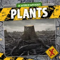 Pflanzen - Plants