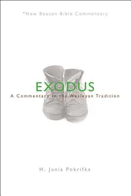 Nbbc, Exodus: Ein Kommentar in der wesleyanischen Tradition - Nbbc, Exodus: A Commentary in the Wesleyan Tradition