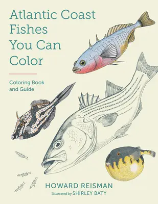 Atlantikküstenfische zum Ausmalen: Malbuch und Leitfaden - Atlantic Coast Fishes You Can Color!: Coloring Book and Guide