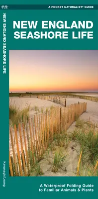 New England Seashore Life - Ein wasserfester Faltführer für vertraute Tiere und Pflanzen - New England Seashore Life - A Waterproof Folding Guide to Familiar Animals & Plants