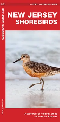 New Jersey Shorebirds - Ein wasserfester Faltführer für bekannte Arten - New Jersey Shorebirds - A Waterproof Folding Guide to Familiar Species