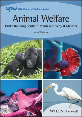 Tierschutz: Empfindungsfähige Seelen verstehen und warum das wichtig ist - Animal Welfare: Understanding Sentient Minds and Why It Matters