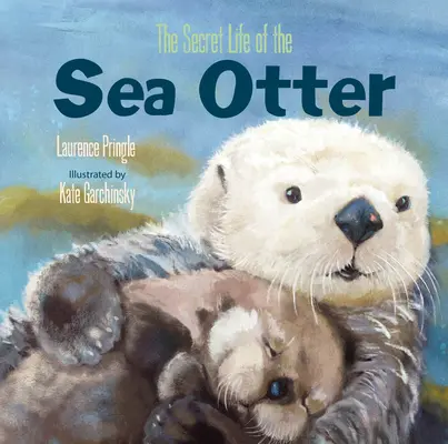 Das geheime Leben des Seeotters - The Secret Life of the Sea Otter