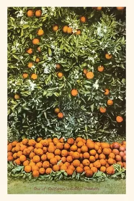 Das Weinlese-Journal Orange Grove - The Vintage Journal Orange Grove