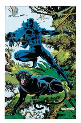 Schwarzer Panther: Panther's Quest - Black Panther: Panther's Quest