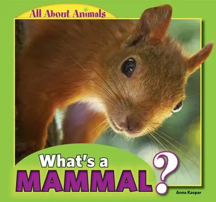 Was ist ein Säugetier? - What's a Mammal?