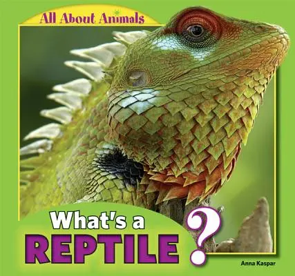 Was ist ein Reptil? - What's a Reptile?