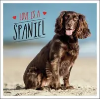 Liebe ist ein Spaniel - Eine hundebegeisterte Feier der liebenswertesten Rasse der Welt - Love is a Spaniel - A Dog-Tastic Celebration of the World's Most Lovable Breed