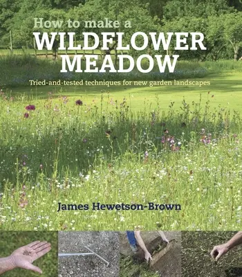 Wie man eine Wildblumenwiese anlegt - Bewährte Techniken für neue Gartenlandschaften - How to make a wildflower meadow - Tried-And-Tested Techniques for New Garden Landscapes