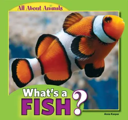 Was ist ein Fisch? - What's a Fish?