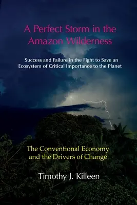 Ein perfekter Sturm im Amazonasgebiet. Band 1: Die konventionelle Wirtschaft und die Triebkräfte des Wandels - A Perfect Storm in the Amazon. Volume 1: The Conventional Economy and the Drivers of Change