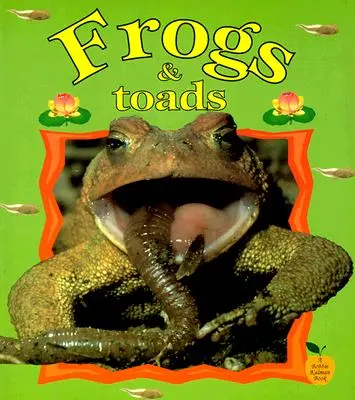 Frösche und Kröten - Frogs & Toads