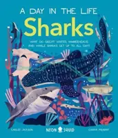 Haie (Ein Tag im Leben) - Was treiben Weiße Haie, Hammerhaie und Walhaie den ganzen Tag? - Sharks (A Day in the Life) - What Do Great Whites, Hammerheads, and Whale Sharks Get Up To All Day?