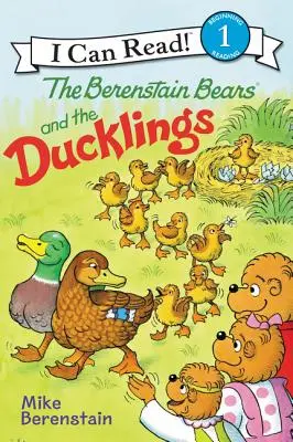 Die Berenstain-Bären und die Entenküken - The Berenstain Bears and the Ducklings