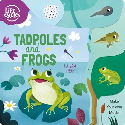 Kaulquappen und Frösche: Baue dein eigenes Modell! - Tadpoles and Frogs: Make Your Own Model!