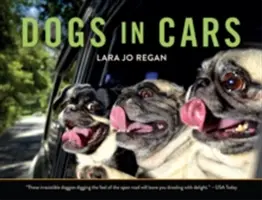 Hunde im Auto - Dogs in Cars
