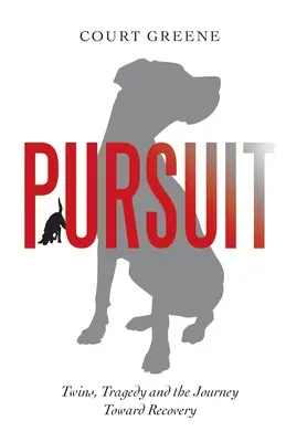 Pursuit: Zwillinge, Tragödie und die Reise zur Genesung - Pursuit: Twins, Tragedy and the Journey Toward Recovery