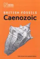 Britische Fossilien aus dem Känozoikum - British Cenozoic Fossils