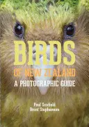 Vögel Neuseelands: Ein fotografischer Führer - Birds of New Zealand: A Photographic Guide