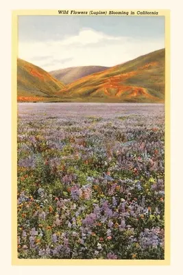 Das Weinlese-Journal Wildblumen in Kalifornien - The Vintage Journal Wildflowers in California