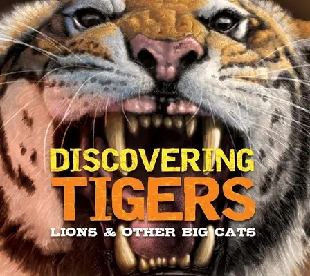 Entdecke Tiger, Löwen und andere Katzen: Das ultimative Handbuch zu den Großkatzen der Welt - Discovering Tigers, Lions & Other Cats: The Ultimate Handbook to the Big Cats of the World