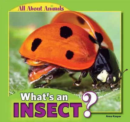 Was ist ein Insekt? - What's an Insect?