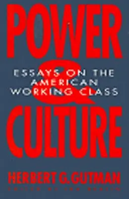 Macht und Kultur: Essays über die amerikanische Arbeiterklasse - Power and Culture: Essays on the American Working Class