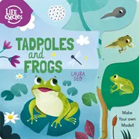 Kaulquappen und Frösche - Baue dein eigenes Modell! - Tadpoles and Frogs - Make Your Own Model!