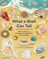 Was eine Muschel erzählen kann - What A Shell Can Tell