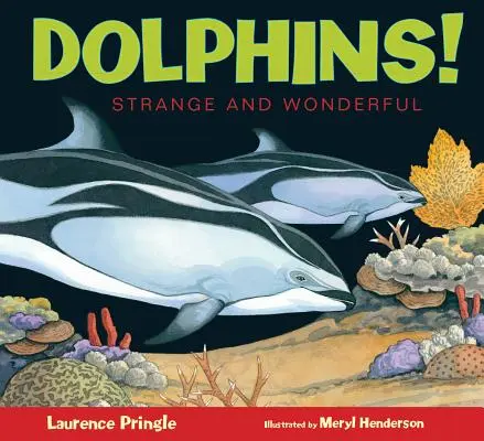 Delfine! - Dolphins!