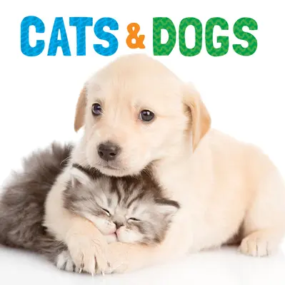 Katzen und Hunde - Cats & Dogs