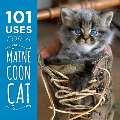 101 Verwendungszwecke für eine Maine Coon Katze - 101 Uses for a Maine Coon Cat