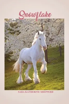 Schneeflocke - Snowflake