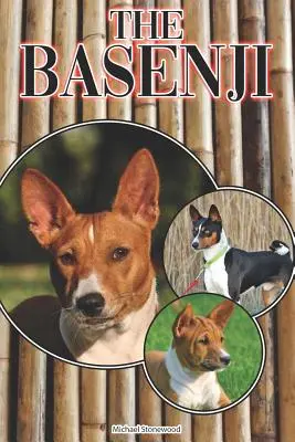 Der Basenji: Ein kompletter und umfassender Leitfaden für Einsteiger: Kaufen, Besitzen, Gesundheit, Pflege, Training, Gehorsam, Verstehen - The Basenji: A Complete and Comprehensive Beginners Guide To: Buying, Owning, Health, Grooming, Training, Obedience, Understanding