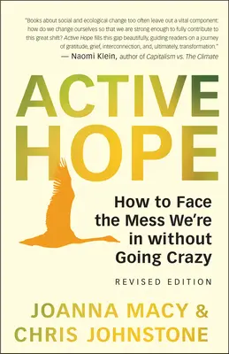 Aktive Hoffnung (überarbeitet): Wie wir dem Schlamassel, in dem wir stecken, mit unerwarteter Widerstandsfähigkeit und kreativer Kraft begegnen - Active Hope (Revised): How to Face the Mess We're in with Unexpected Resilience and Creative Power