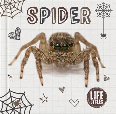 Spinne - Spider