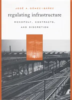 Regulierung der Infrastruktur: Monopol, Verträge und Diskretion - Regulating Infrastructure: Monopoly, Contracts, and Discretion