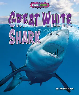 Weißer Hai - Great White Shark